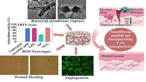  Yttrium-Oxid: Revolutionäres Biomaterial für die Zukunft der Medizintechnik?